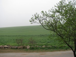 Rozhled